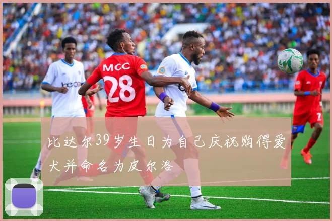比达尔39岁生日为自己庆祝购得爱犬并命名为皮尔洛