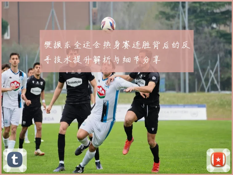 樊振东全运会热身赛连胜背后的反手技术提升解析与细节分享